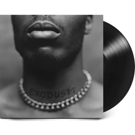 DMX - Exodus Vinyl LP